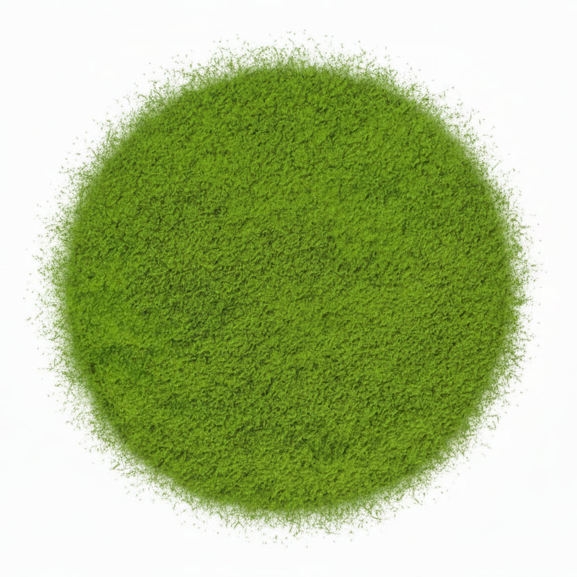 Matcha zum Kochen - Organic